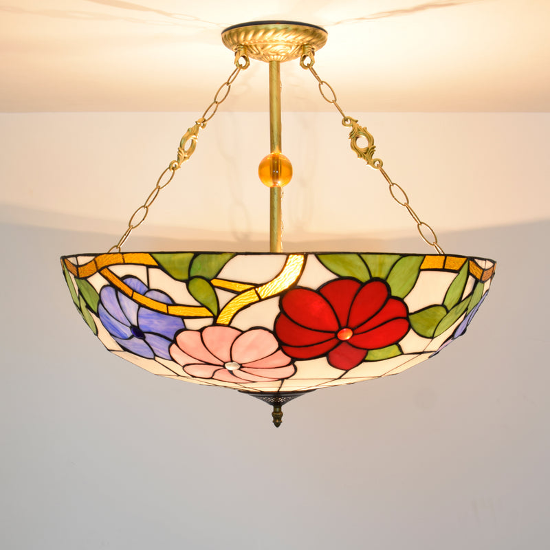 Auroria, 20-24 Inch